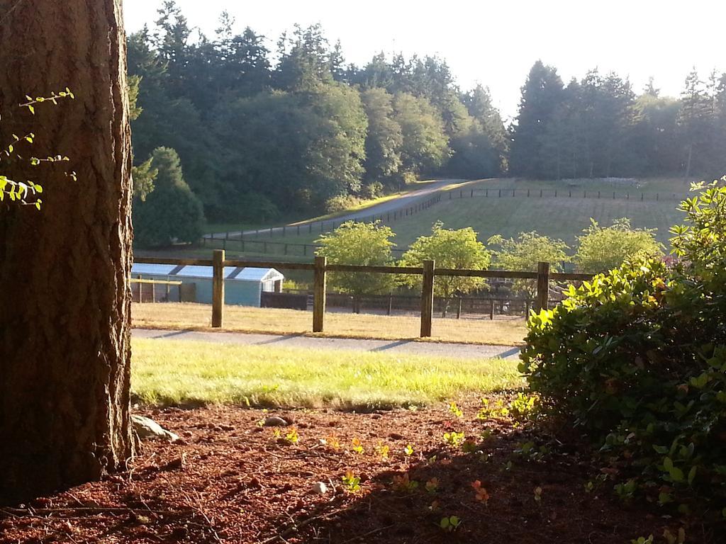 Wildwood Farm Bed & Breakfast Oak Harbor Exterior photo