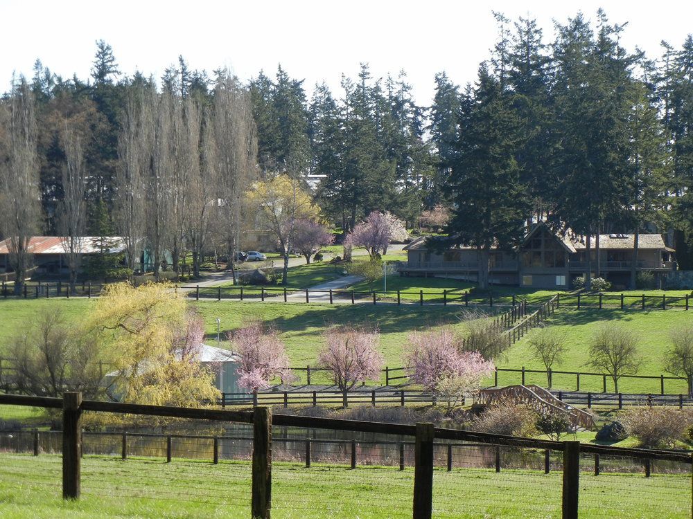 Wildwood Farm Bed & Breakfast Oak Harbor Exterior photo